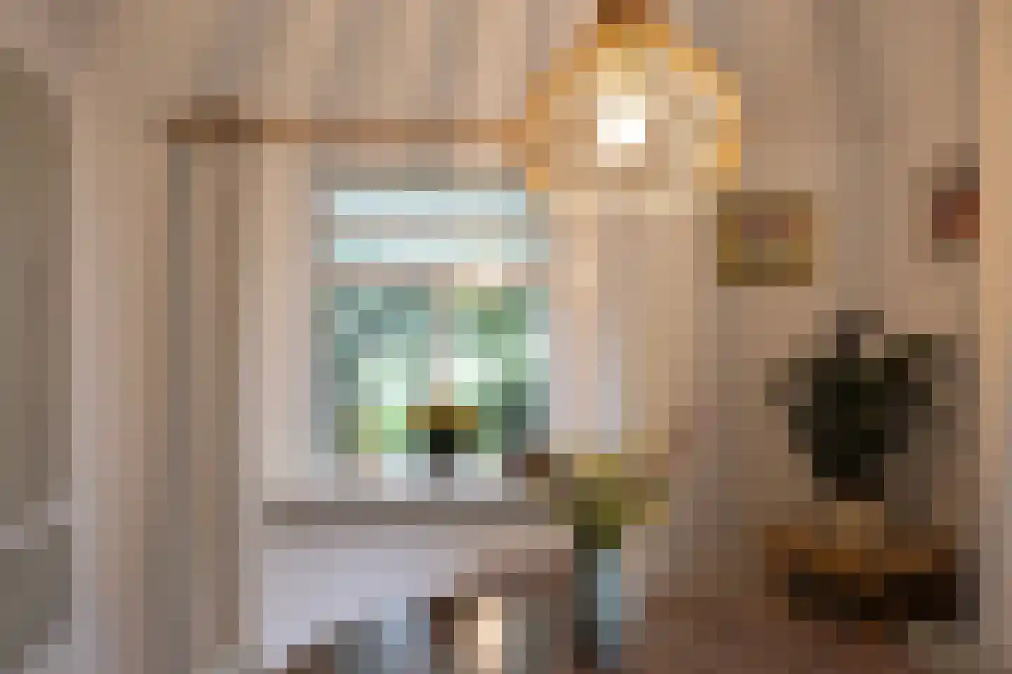 1e Zuider Pierkesmarsweg 1 Bathmen thumbnail 21