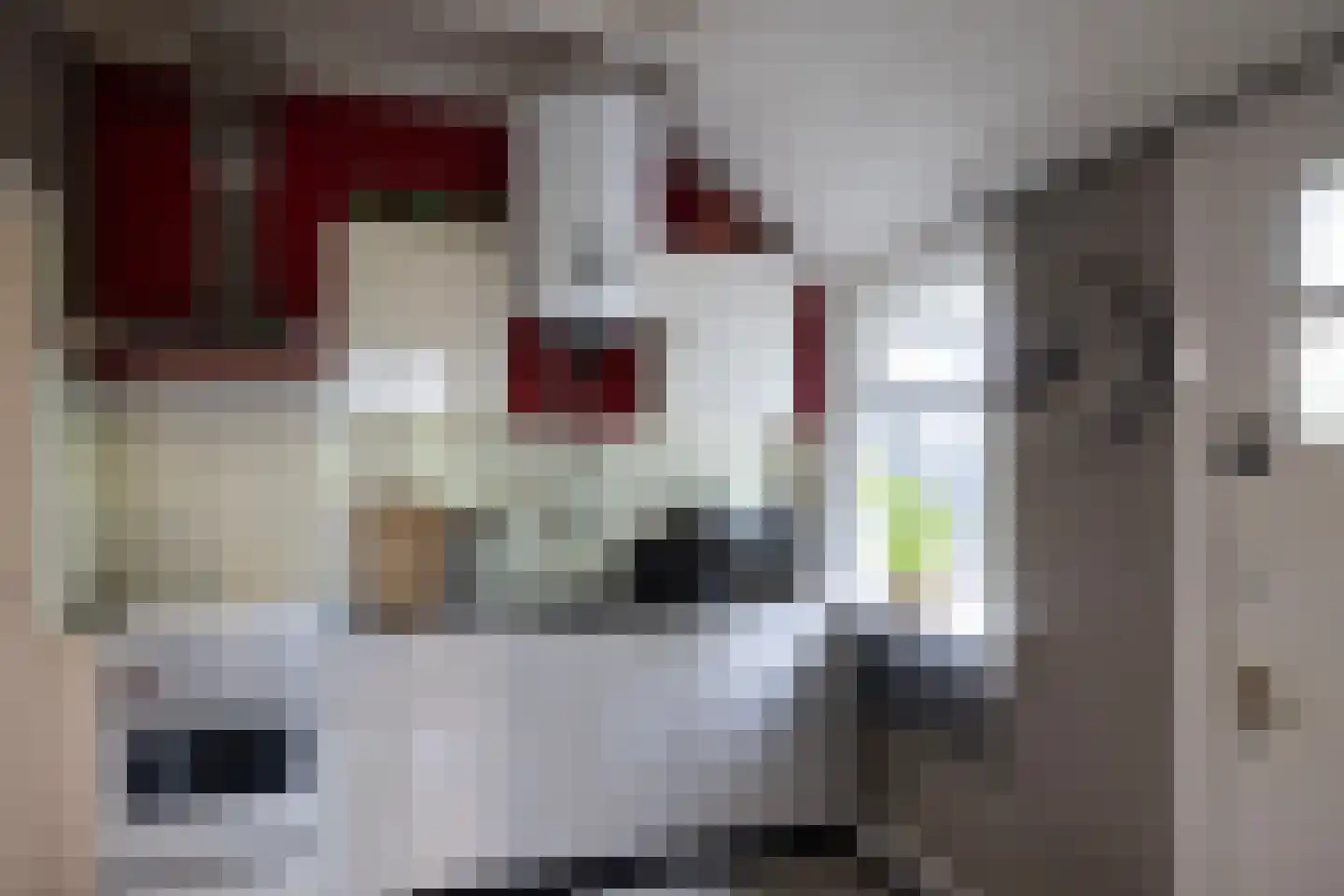 1e Zuider Pierkesmarsweg 1 Bathmen thumbnail 23