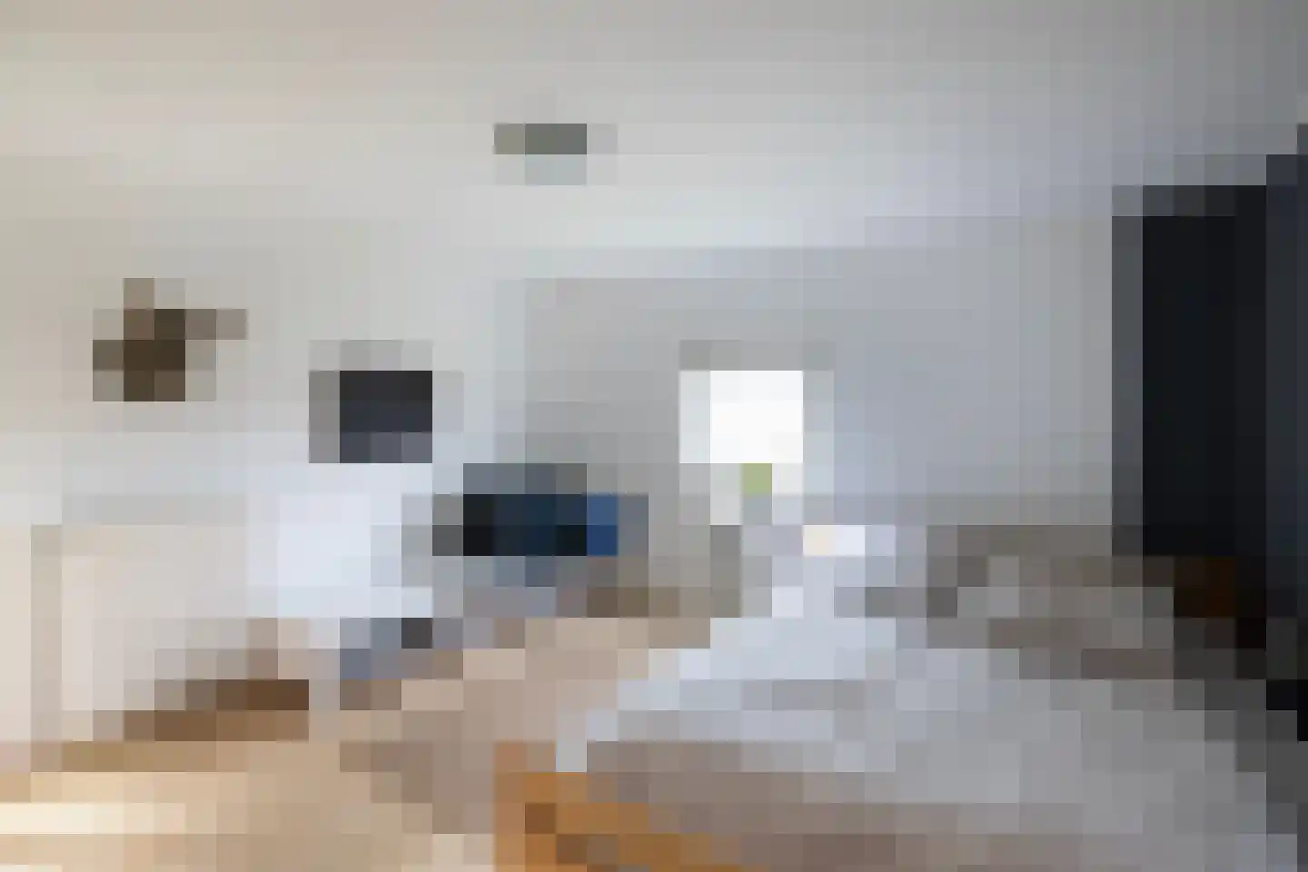 1e Zuider Pierkesmarsweg 1 Bathmen thumbnail 25