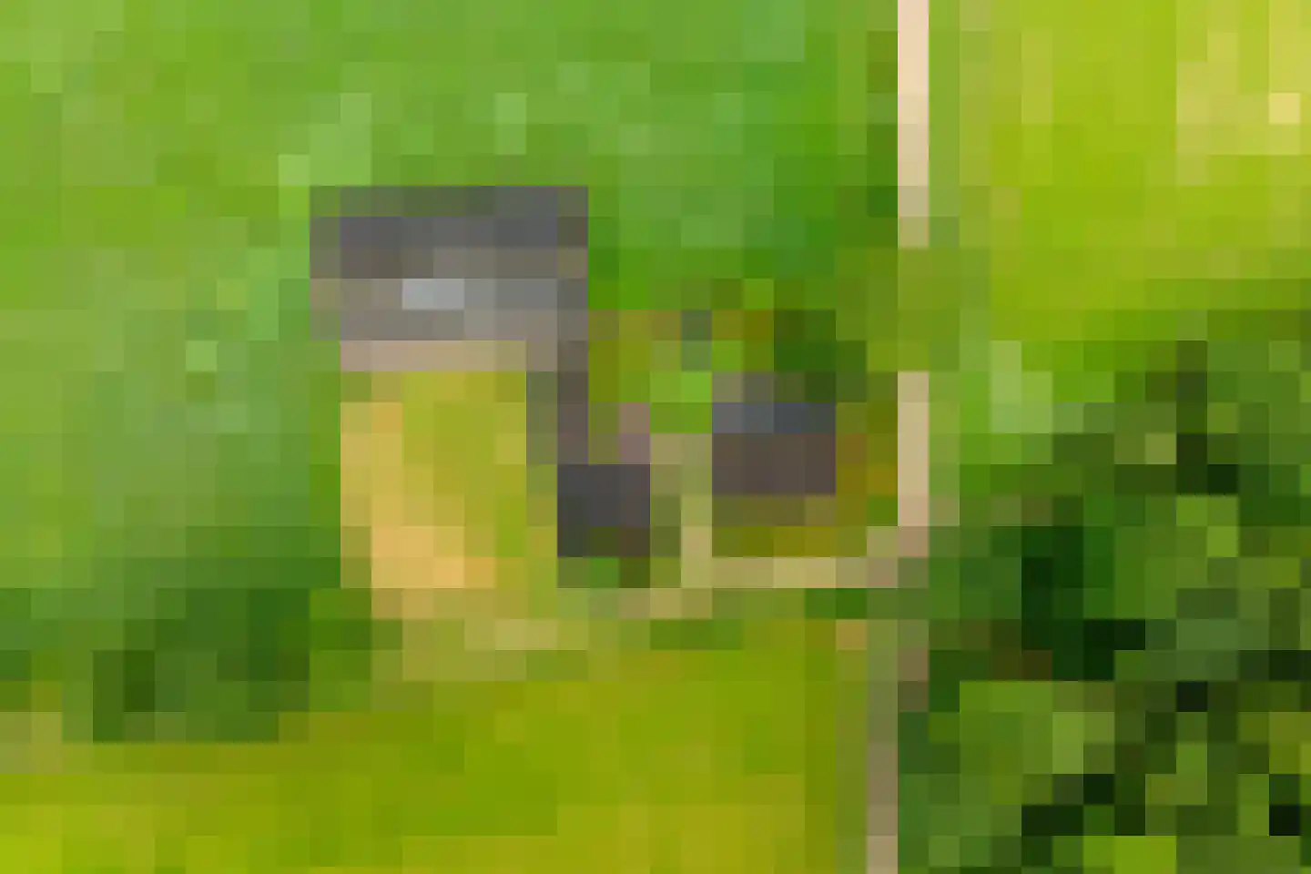 1e Zuider Pierkesmarsweg 1 Bathmen foto 3