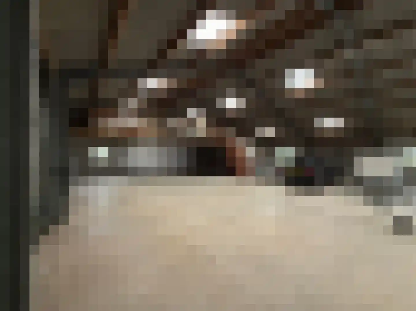 1e Zuider Pierkesmarsweg 1 Bathmen thumbnail 35