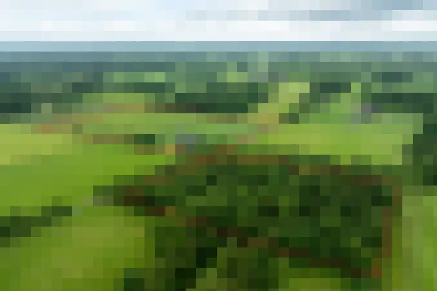 1e Zuider Pierkesmarsweg 1 Bathmen thumbnail 4