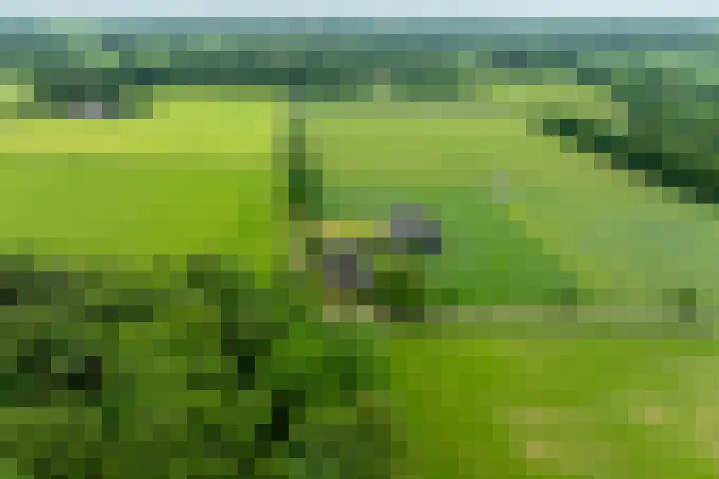 1e Zuider Pierkesmarsweg 1 Bathmen thumbnail 45