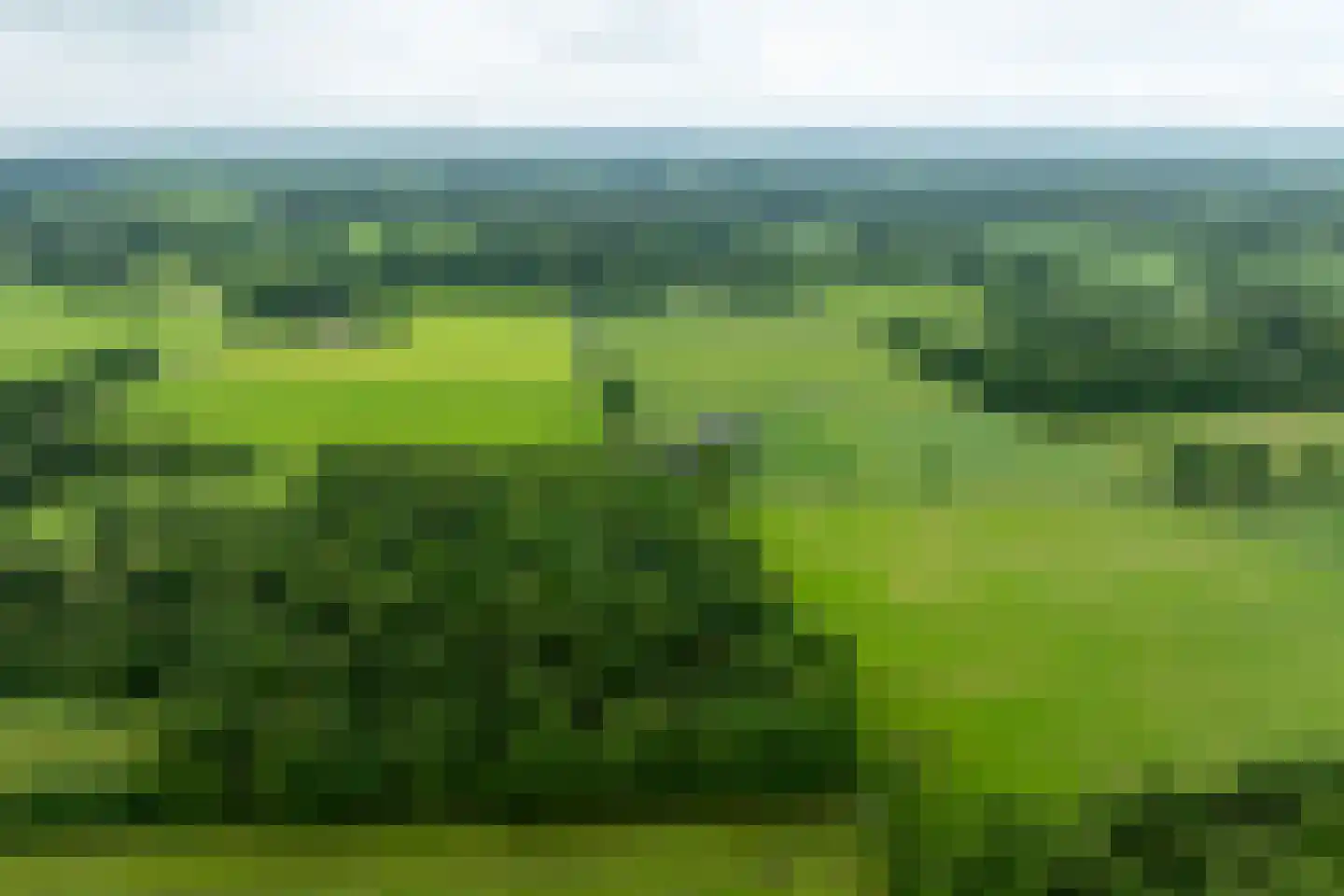 1e Zuider Pierkesmarsweg 1 Bathmen thumbnail 46
