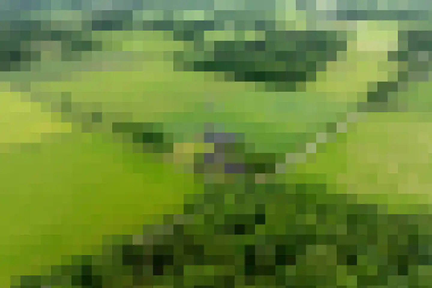 1e Zuider Pierkesmarsweg 1 Bathmen thumbnail 47