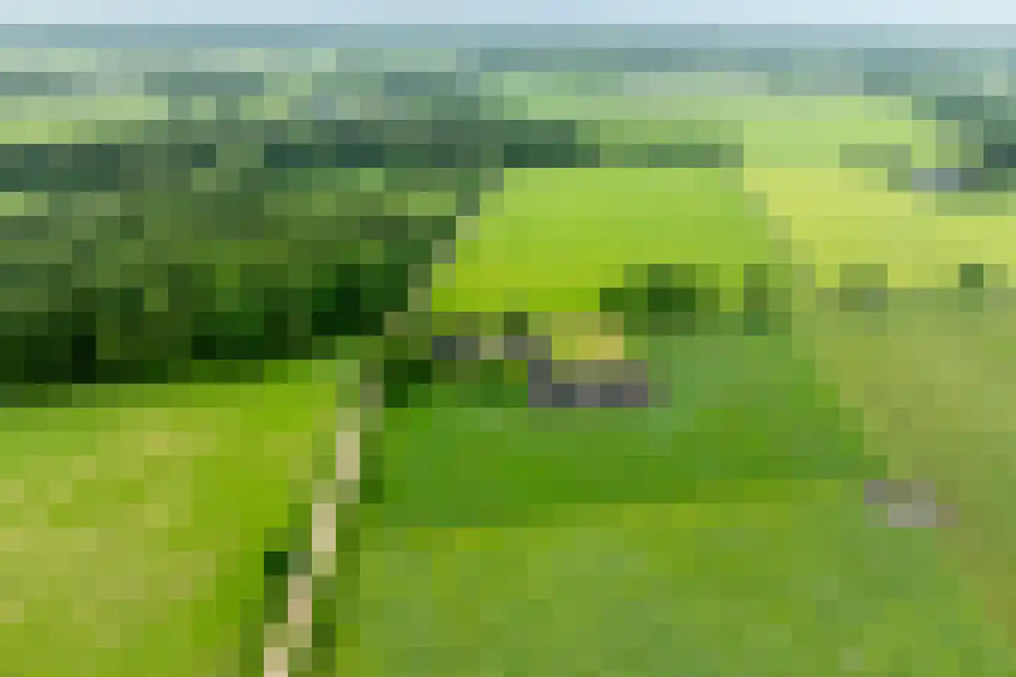 1e Zuider Pierkesmarsweg 1 Bathmen thumbnail 48