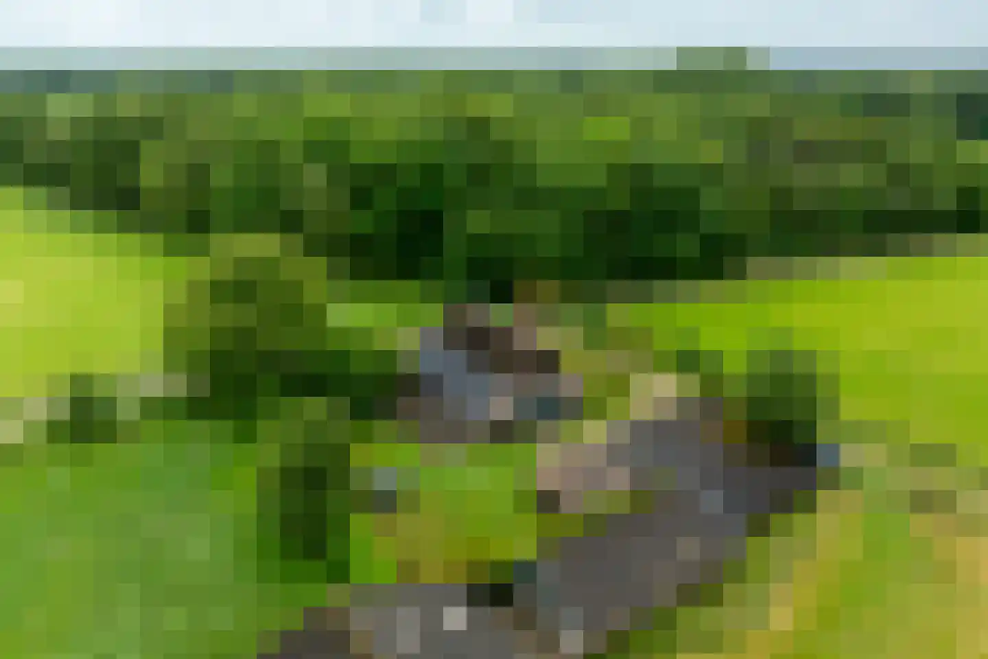 1e Zuider Pierkesmarsweg 1 Bathmen thumbnail 5