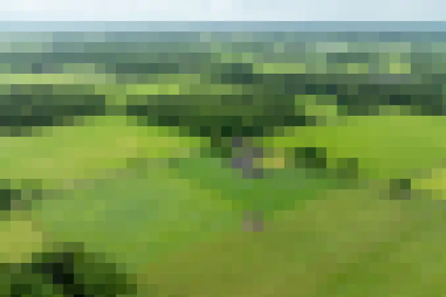 1e Zuider Pierkesmarsweg 1 Bathmen thumbnail 50
