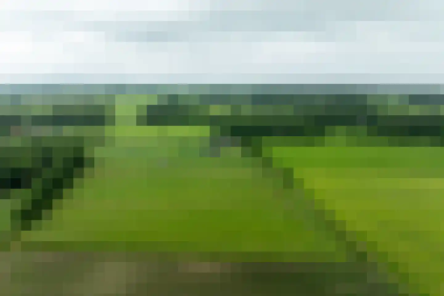 1e Zuider Pierkesmarsweg 1 Bathmen thumbnail 51