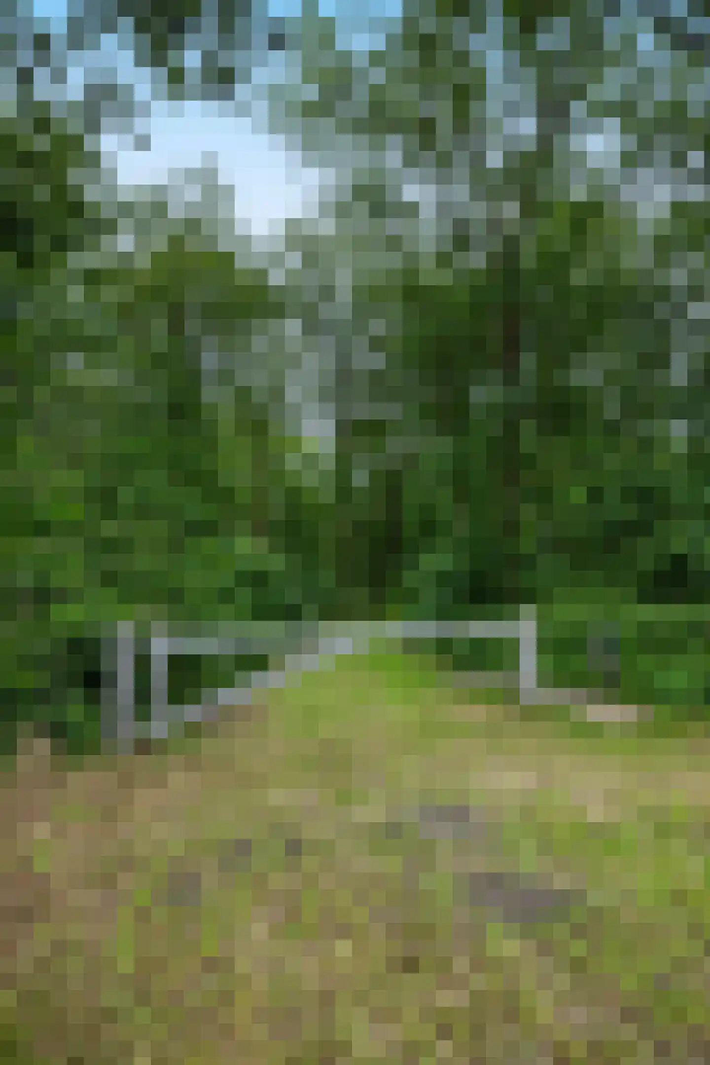 1e Zuider Pierkesmarsweg 1 Bathmen thumbnail 6