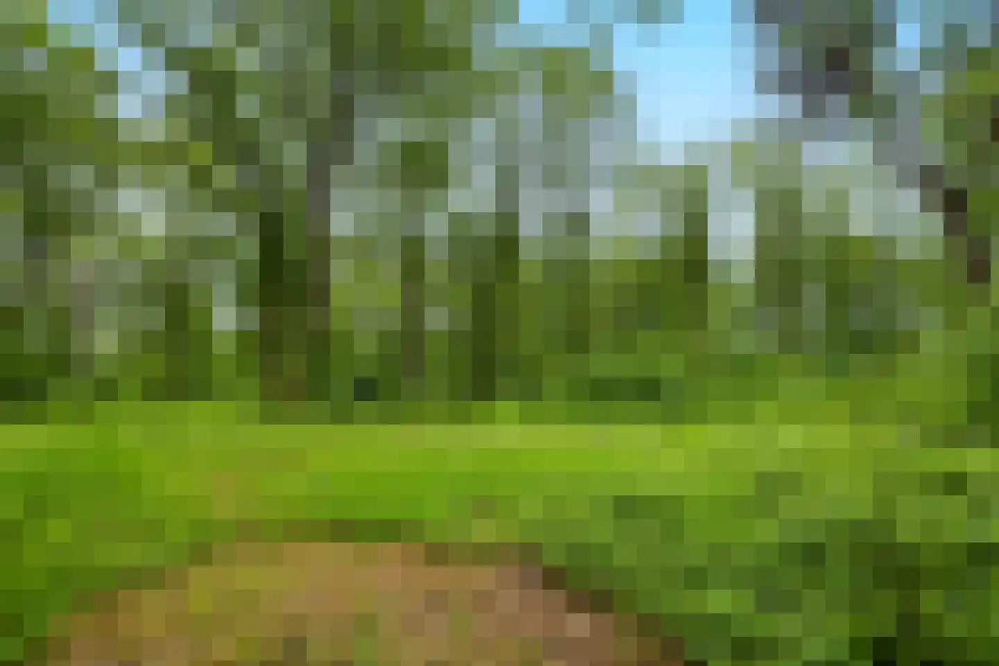 1e Zuider Pierkesmarsweg 1 Bathmen thumbnail 8