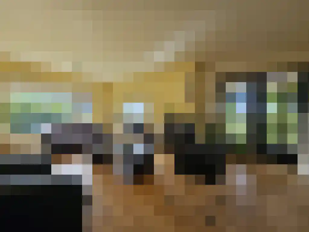 1e Zuider Pierkesmarsweg 3 Bathmen foto 3