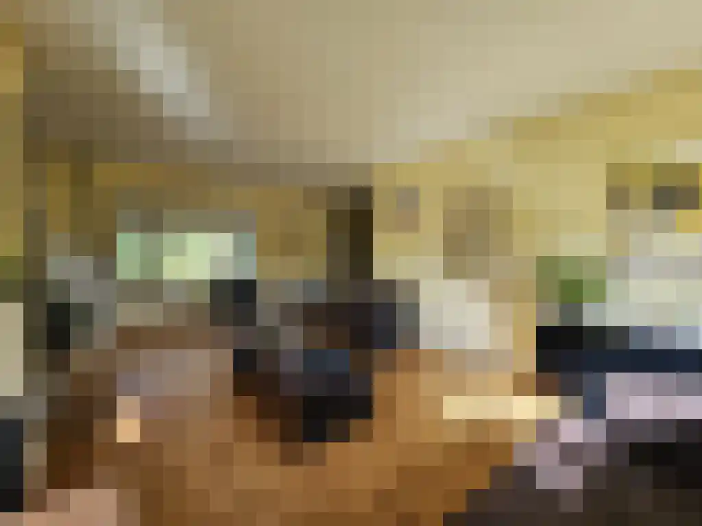 1e Zuider Pierkesmarsweg 3 Bathmen thumbnail 4