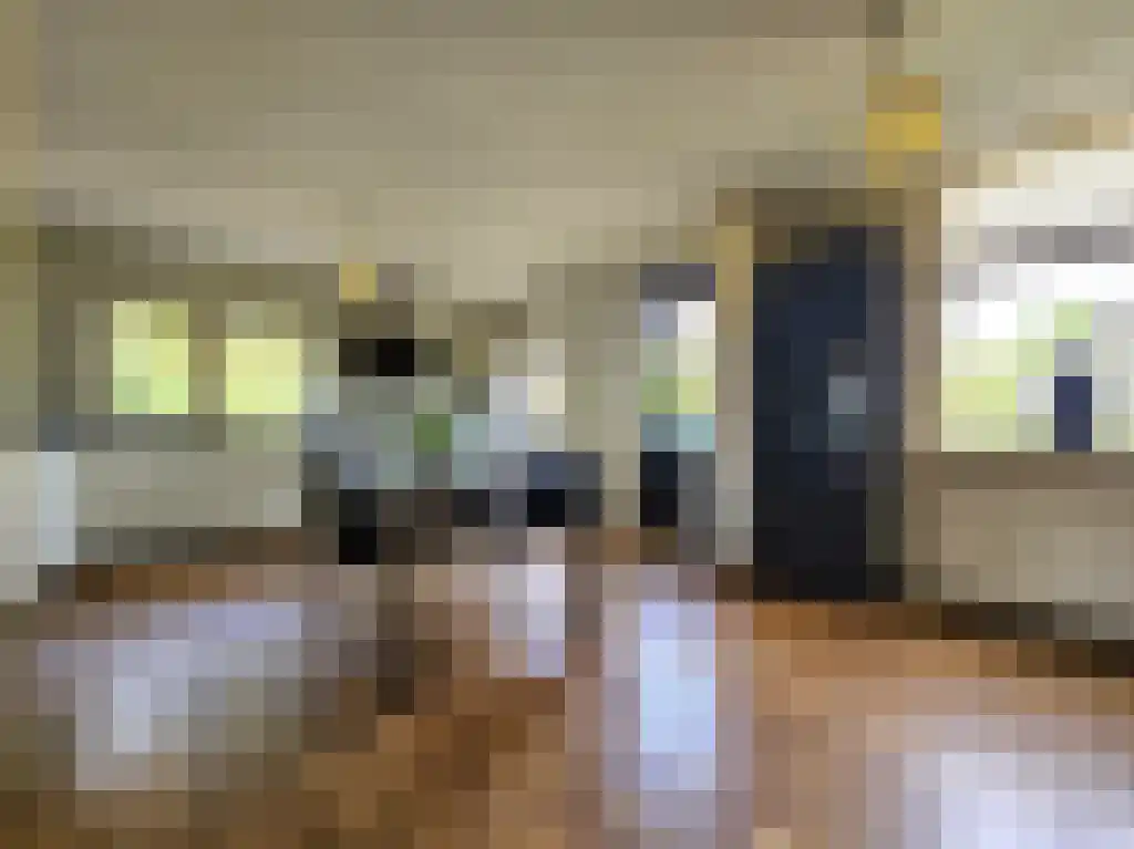 1e Zuider Pierkesmarsweg 3 Bathmen thumbnail 6
