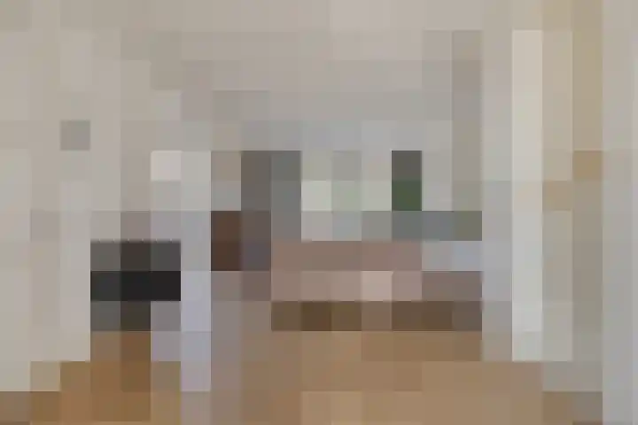 1ste Graaf van Hollanddijk 11 Hoef en Haag thumbnail 15