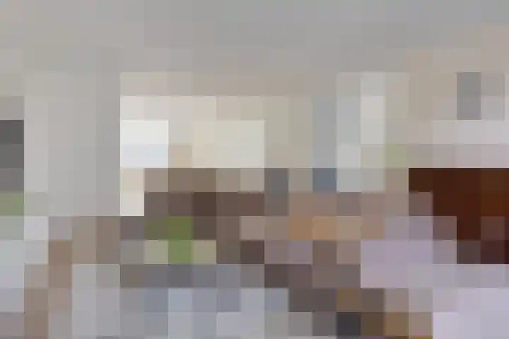 1ste Graaf van Hollanddijk 11 Hoef en Haag thumbnail 18