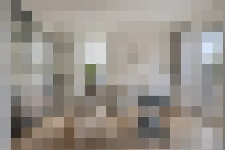 1ste Graaf van Hollanddijk 11 Hoef en Haag thumbnail 19