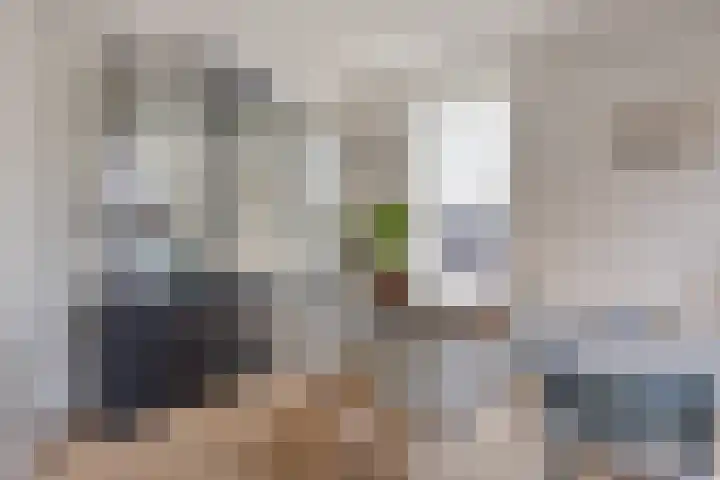 1ste Graaf van Hollanddijk 11 Hoef en Haag thumbnail 21