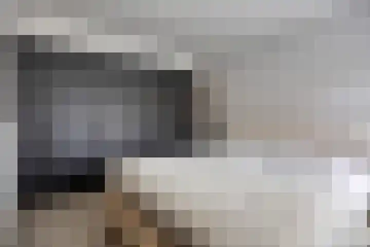 1ste Graaf van Hollanddijk 11 Hoef en Haag thumbnail 25