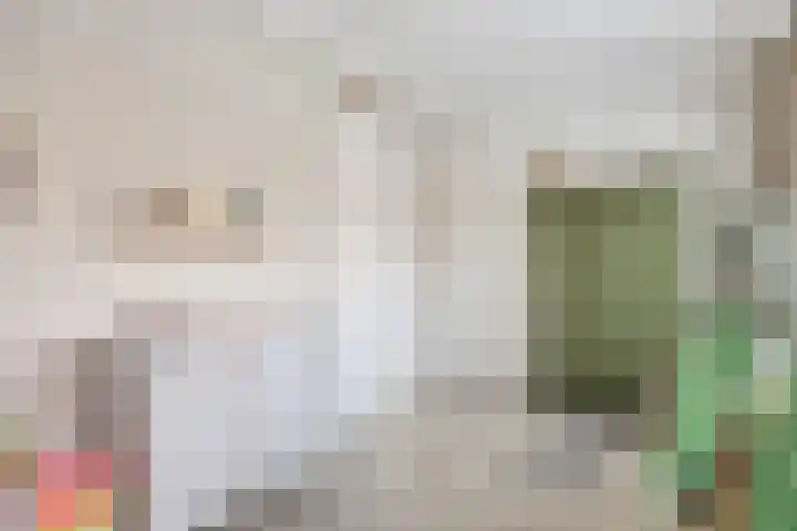 1ste Graaf van Hollanddijk 11 Hoef en Haag thumbnail 30