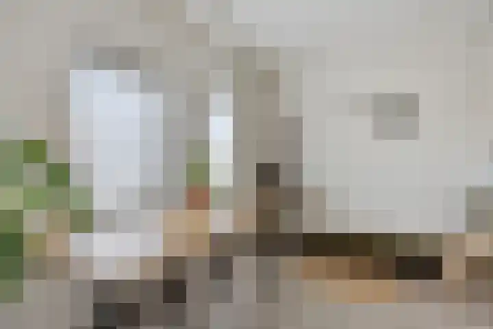 1ste Graaf van Hollanddijk 11 Hoef en Haag thumbnail 32