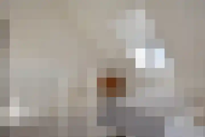 1ste Graaf van Hollanddijk 11 Hoef en Haag thumbnail 36