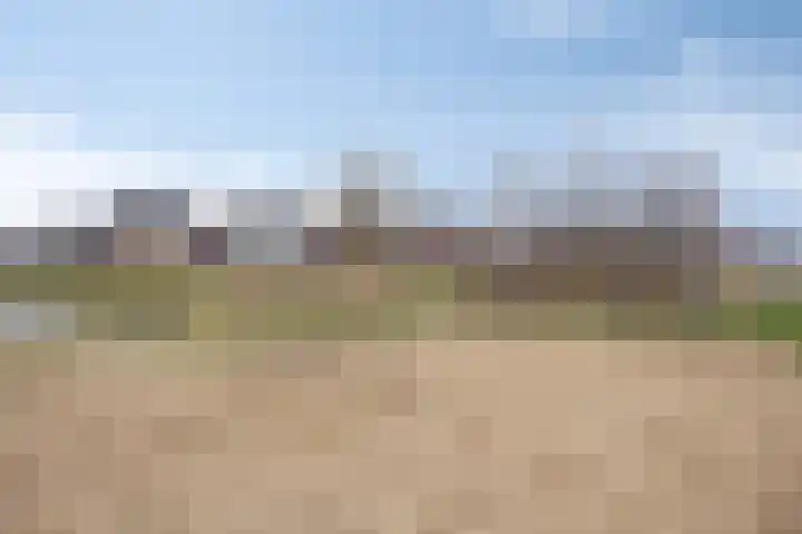 1ste Graaf van Hollanddijk 11 Hoef en Haag thumbnail 40