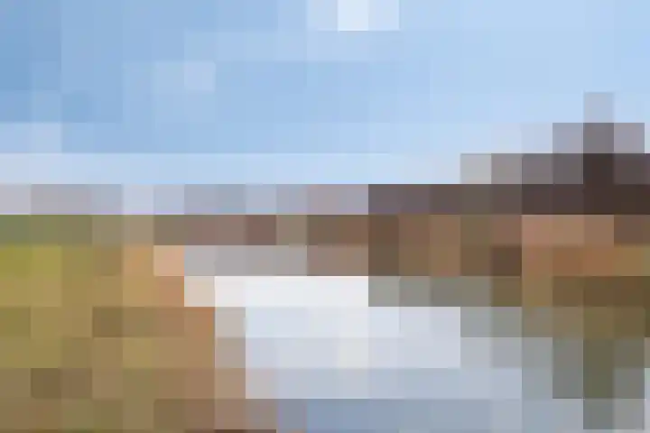1ste Graaf van Hollanddijk 11 Hoef en Haag thumbnail 41