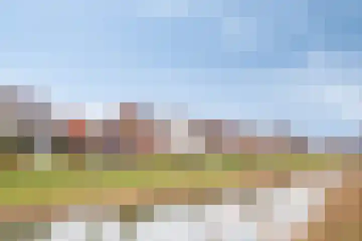 1ste Graaf van Hollanddijk 11 Hoef en Haag thumbnail 43