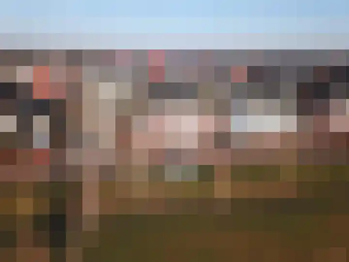 1ste Graaf van Hollanddijk 11 Hoef en Haag thumbnail 44