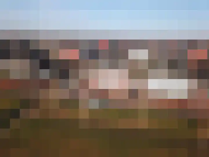 1ste Graaf van Hollanddijk 11 Hoef en Haag thumbnail 45