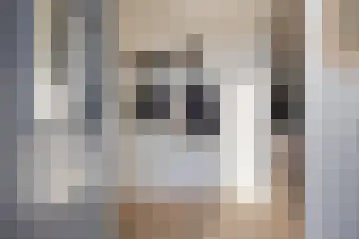 1ste Graaf van Hollanddijk 11 Hoef en Haag thumbnail 9