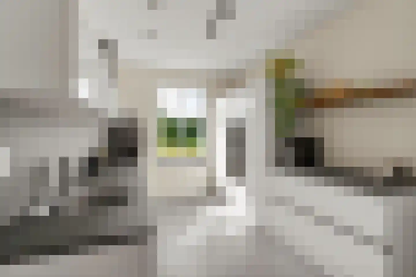 1ste Graaf van Hollanddijk 27 Hoef en Haag thumbnail 10