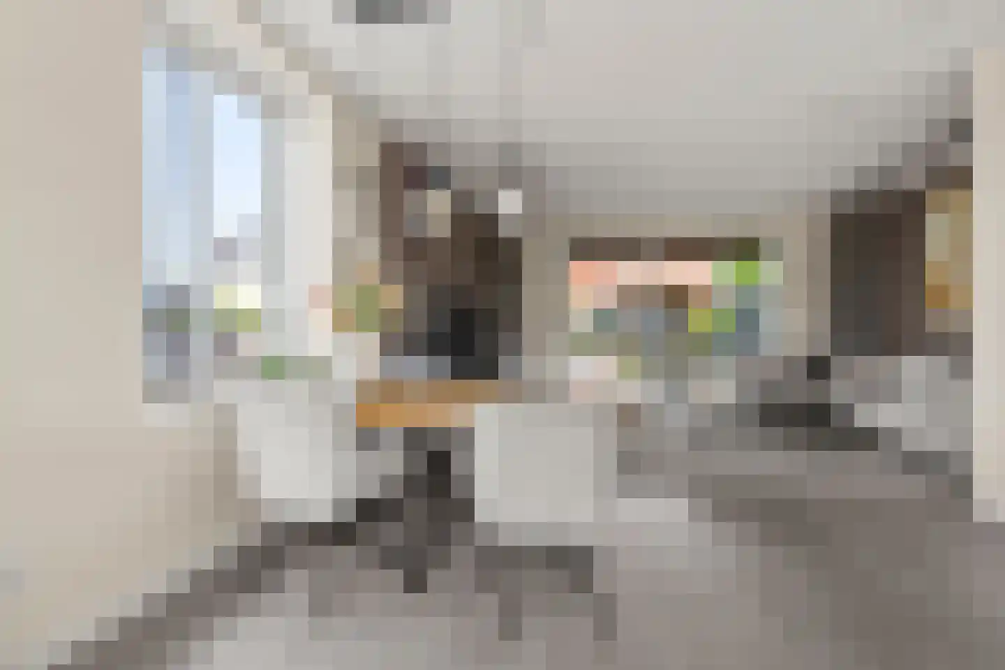 1ste Graaf van Hollanddijk 27 Hoef en Haag thumbnail 13