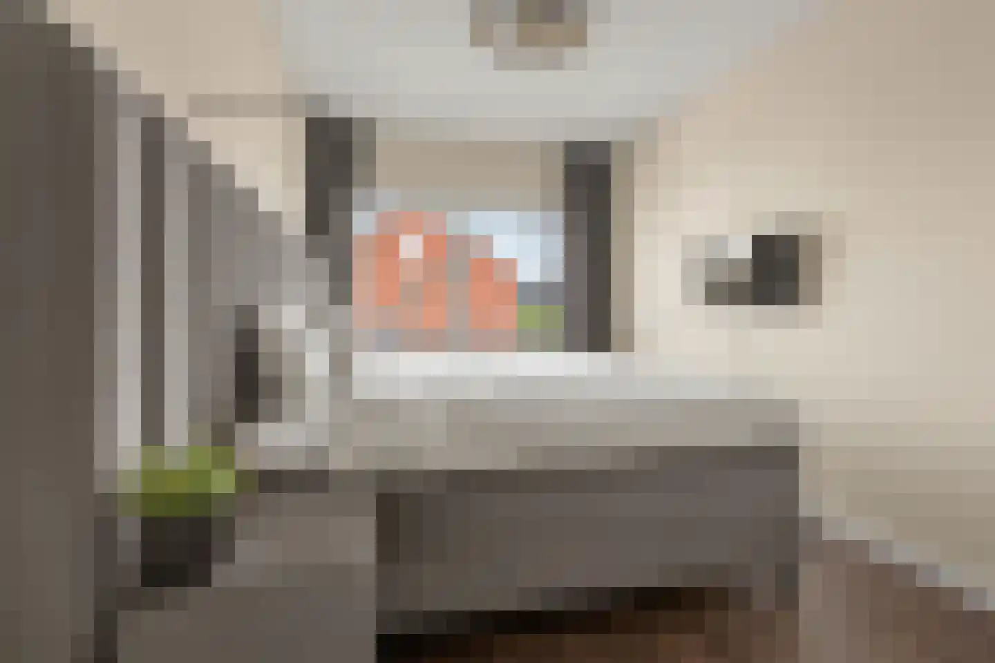 1ste Graaf van Hollanddijk 27 Hoef en Haag thumbnail 19