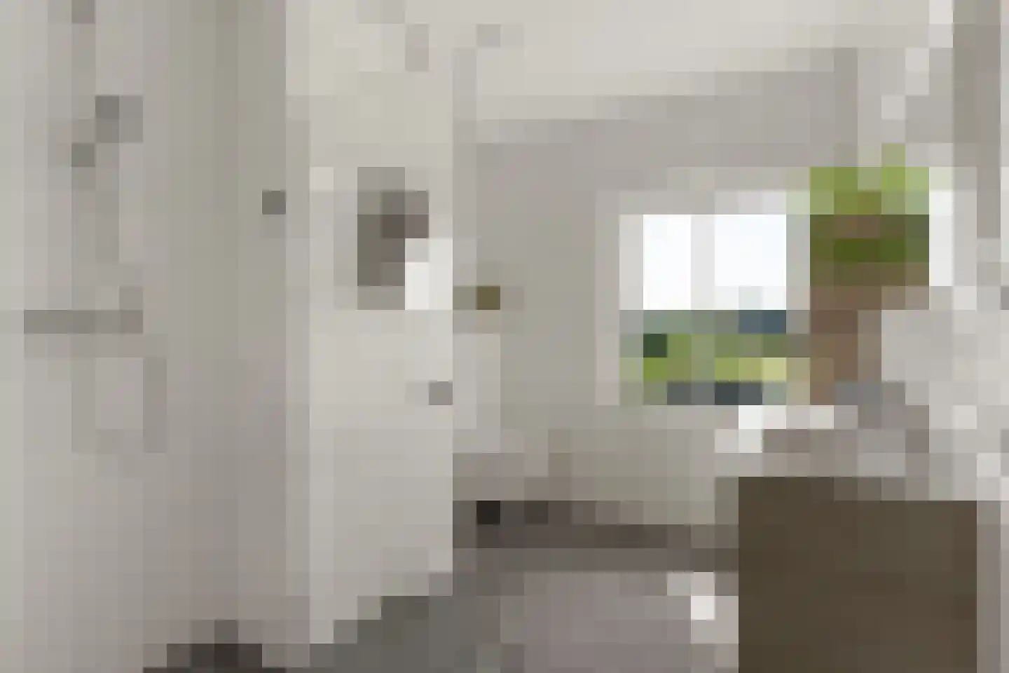 1ste Graaf van Hollanddijk 27 Hoef en Haag thumbnail 25