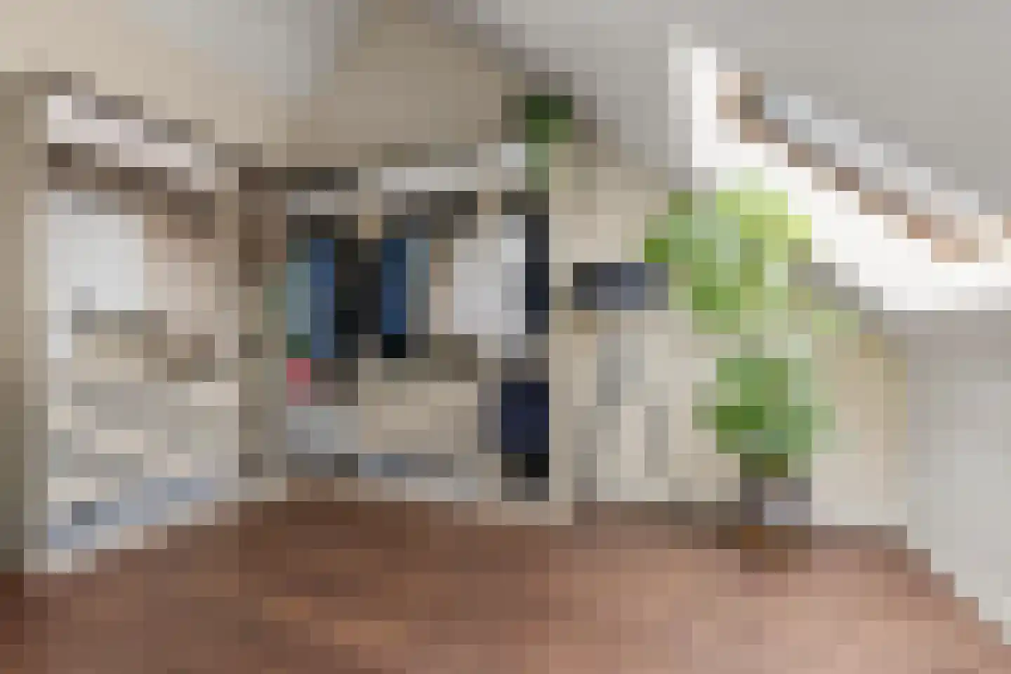 1ste Graaf van Hollanddijk 27 Hoef en Haag thumbnail 28
