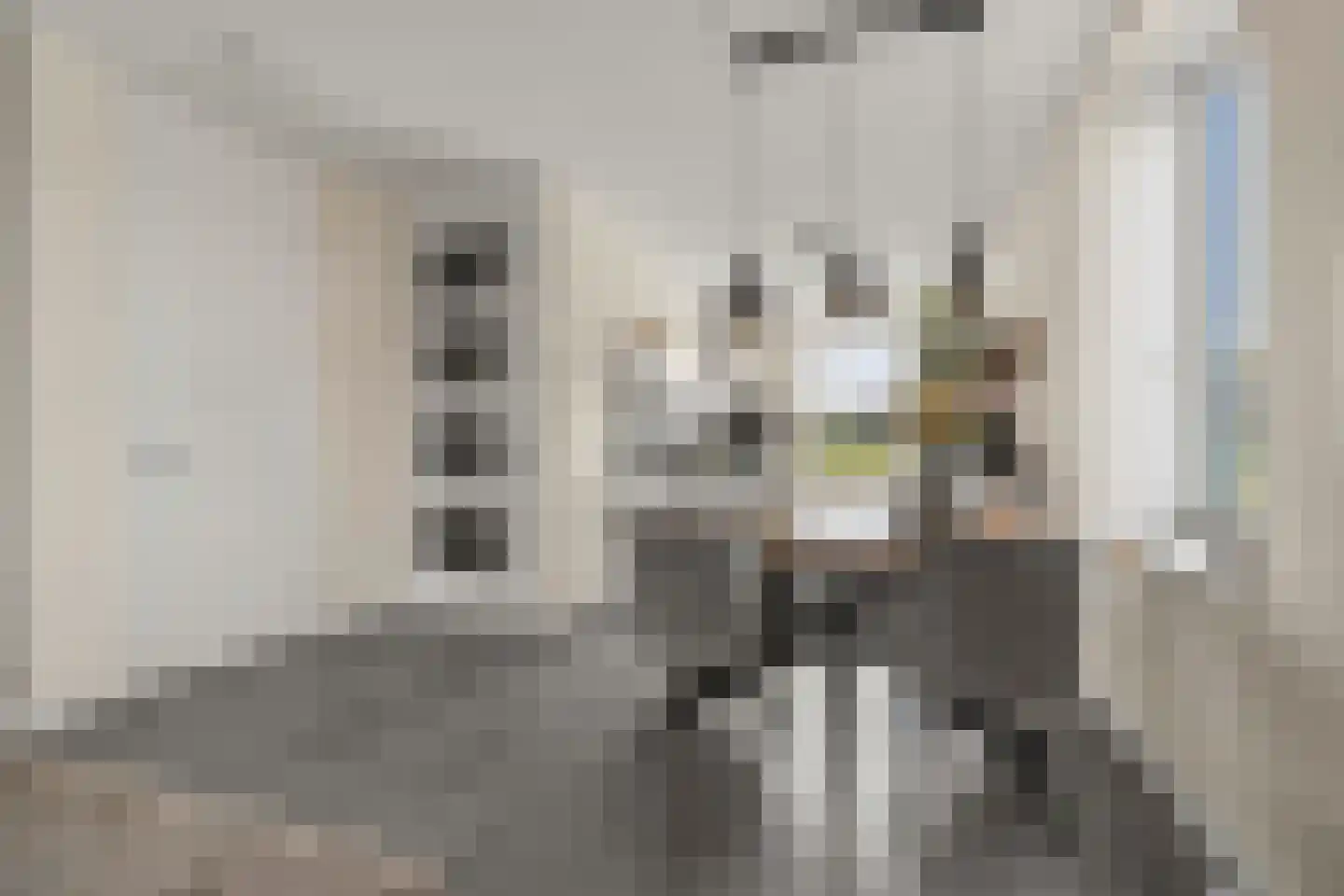 1ste Graaf van Hollanddijk 27 Hoef en Haag thumbnail 8