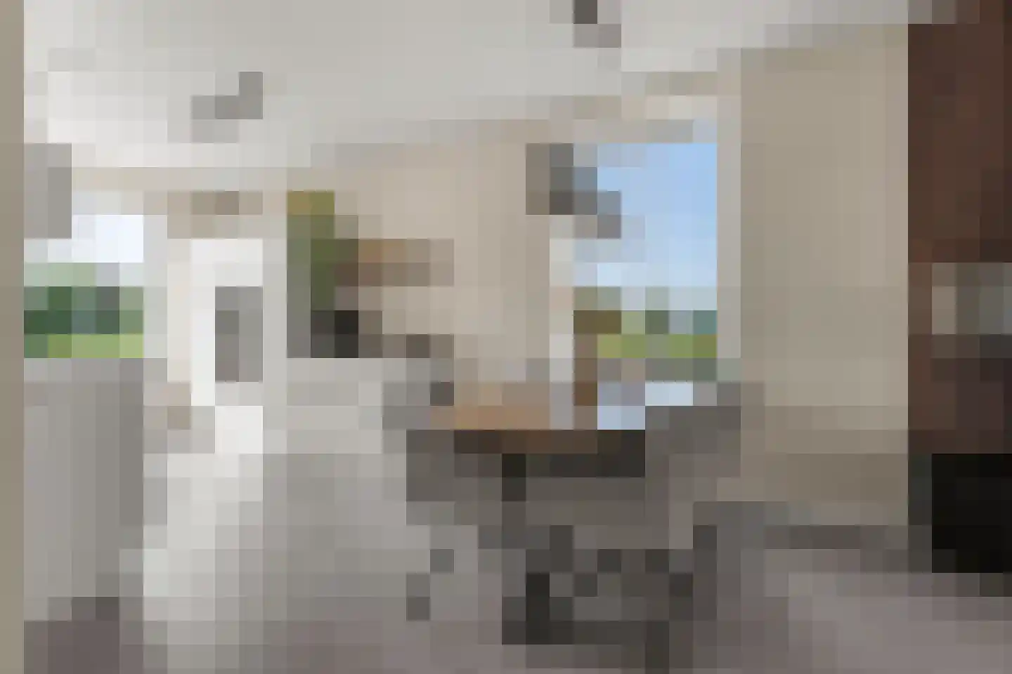 1ste Graaf van Hollanddijk 27 Hoef en Haag thumbnail 9