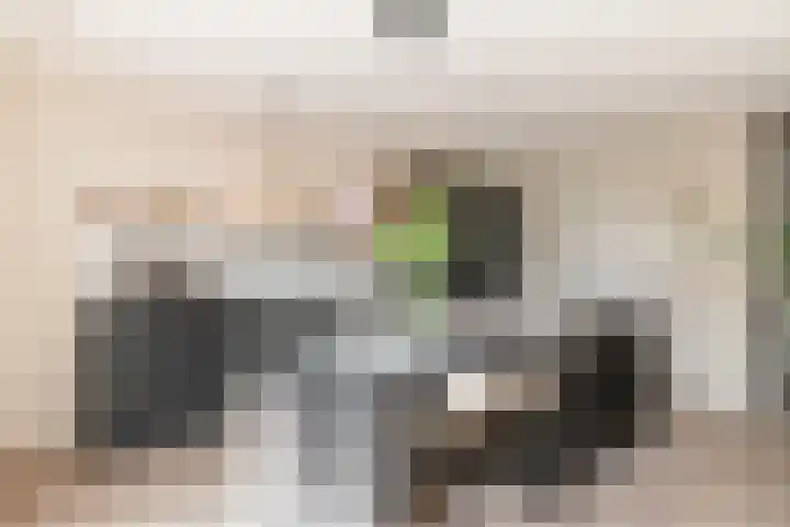 1ste Poortstraat 19 Hoef en Haag thumbnail 4