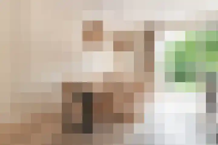 1ste Poortstraat 19 Hoef en Haag thumbnail 5