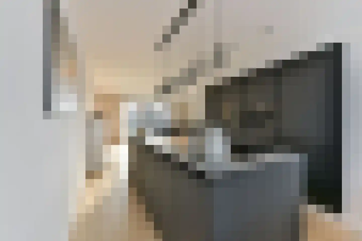 1ste Poortstraat 7 Hoef en Haag thumbnail 10