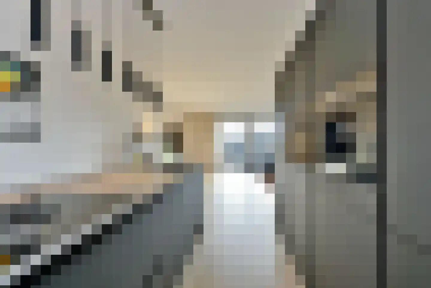 1ste Poortstraat 7 Hoef en Haag thumbnail 12