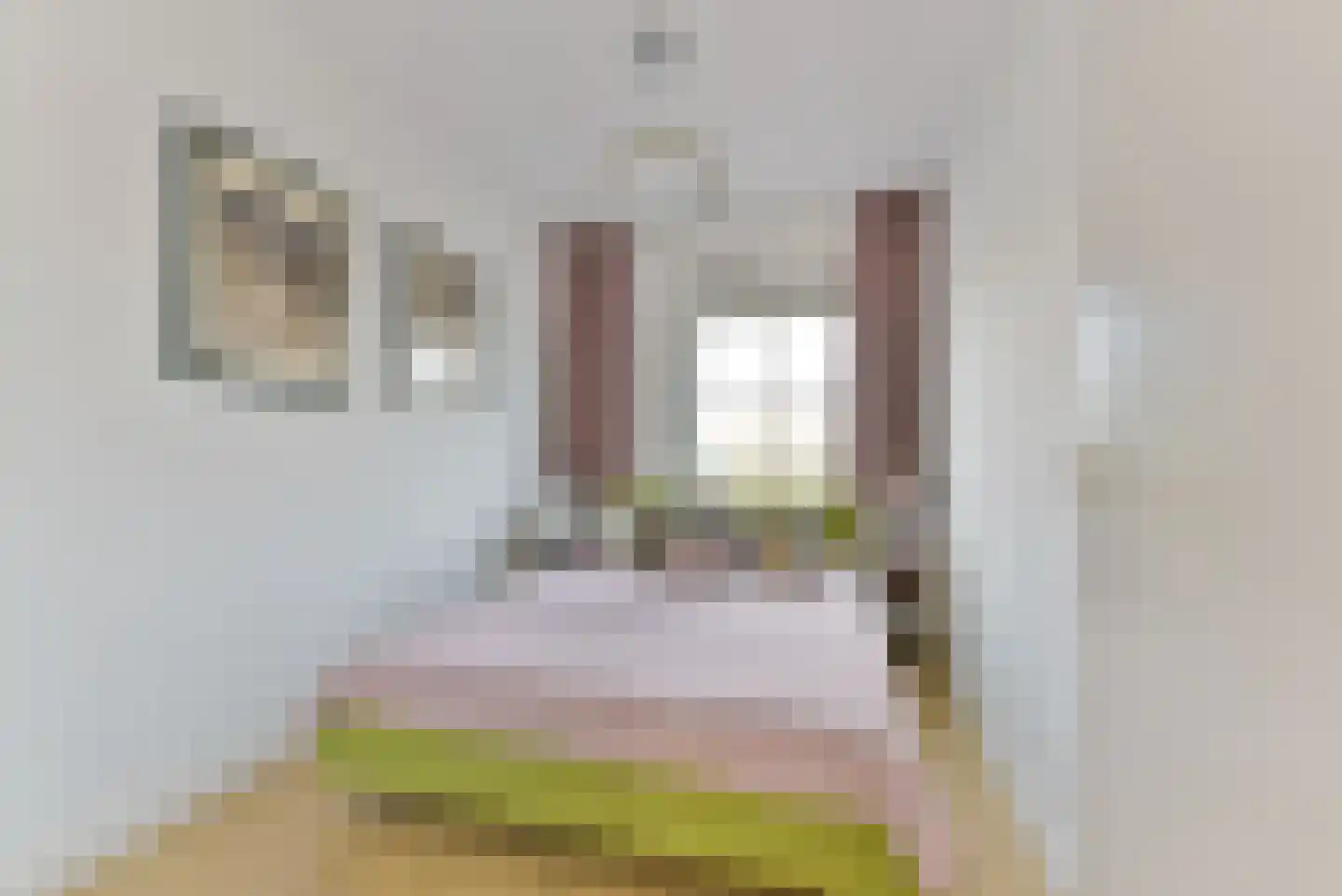 1ste Poortstraat 7 Hoef en Haag thumbnail 26