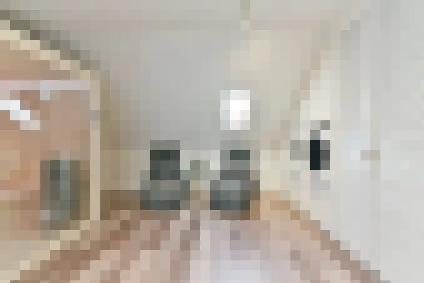 1ste Poortstraat 7 Hoef en Haag thumbnail 33