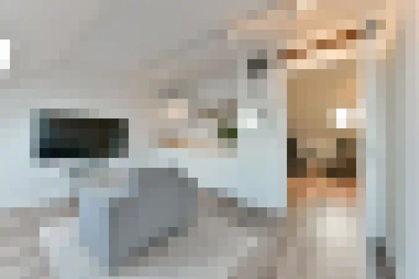 1ste Poortstraat 7 Hoef en Haag thumbnail 38