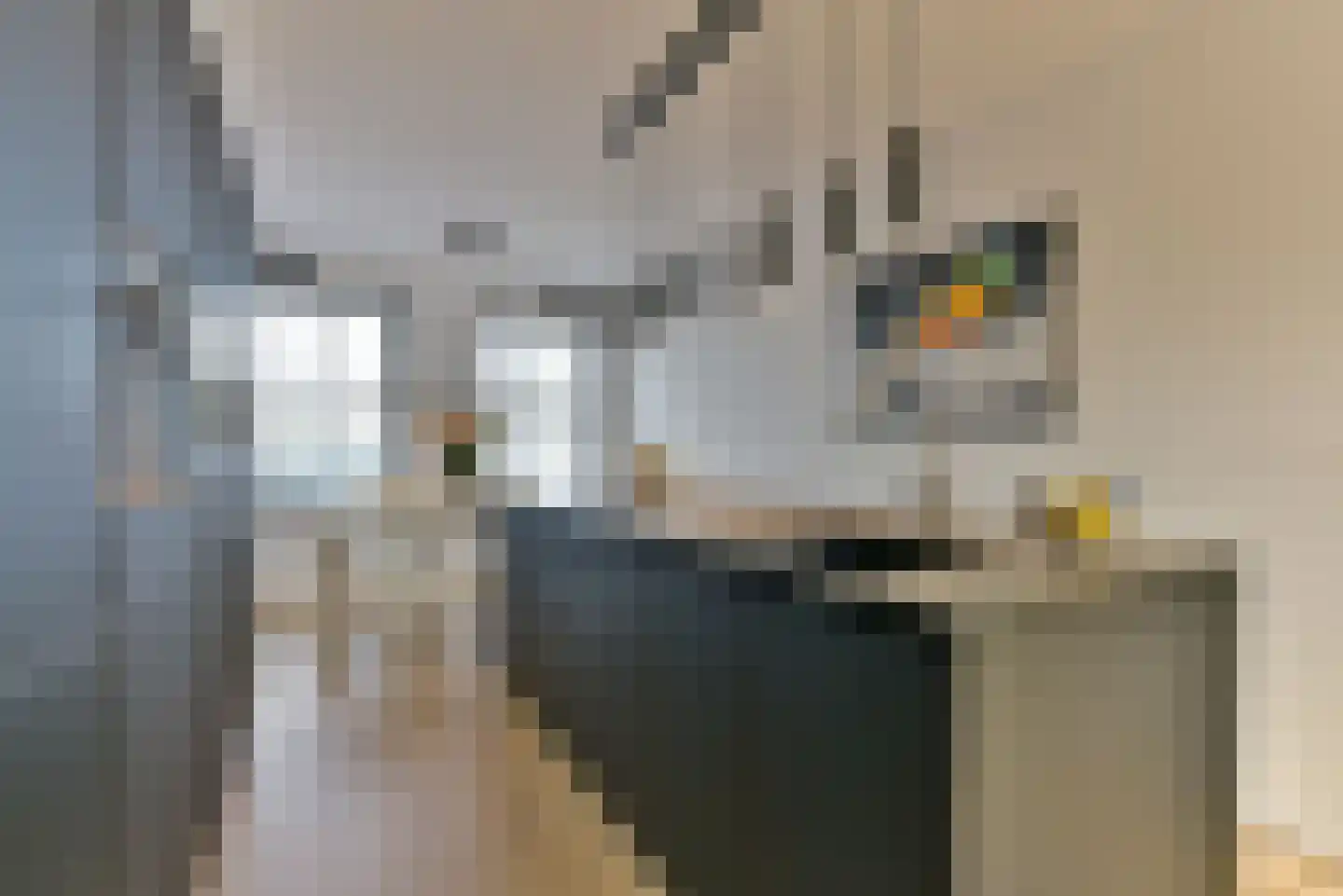 1ste Poortstraat 7 Hoef en Haag thumbnail 8