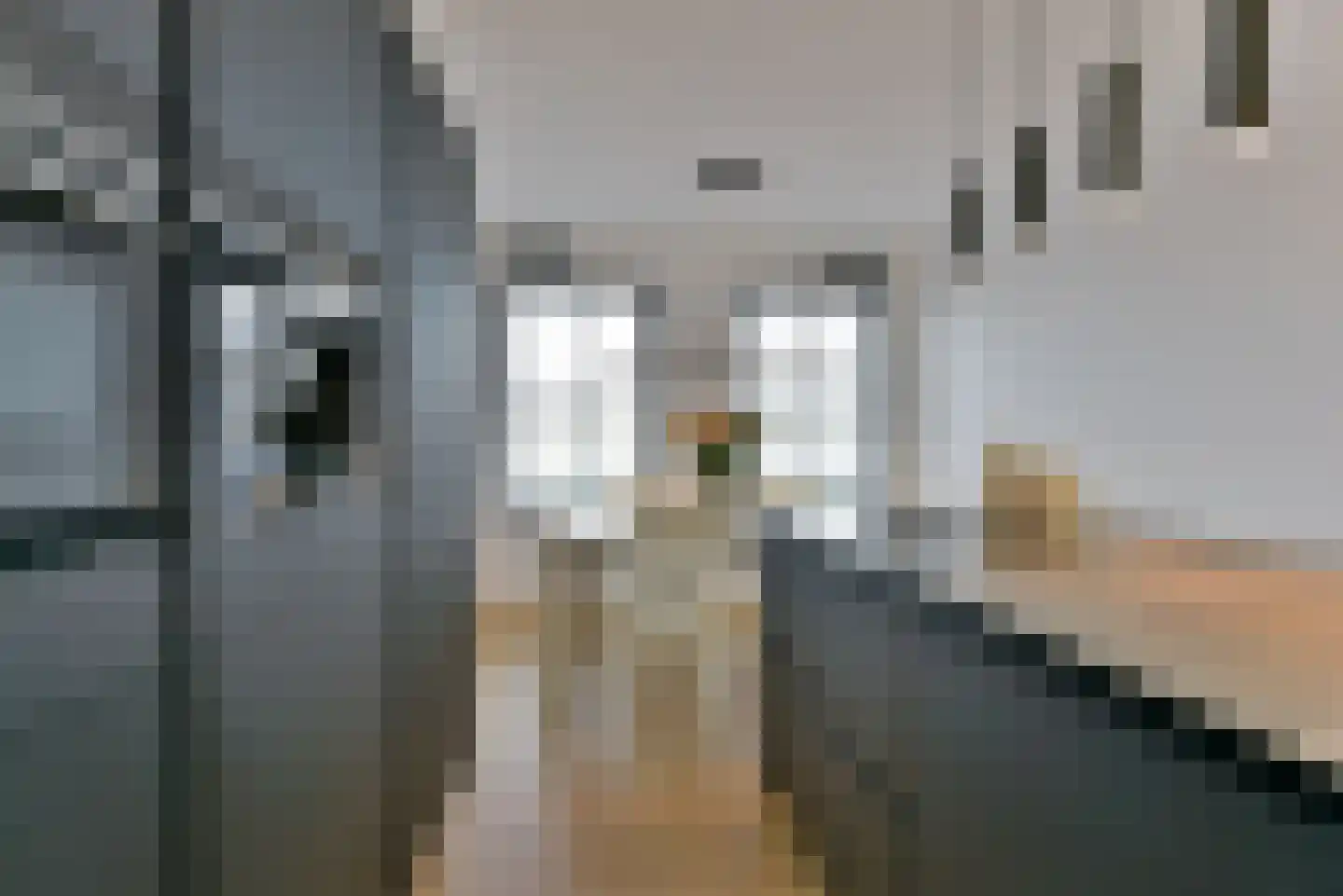 1ste Poortstraat 7 Hoef en Haag thumbnail 9