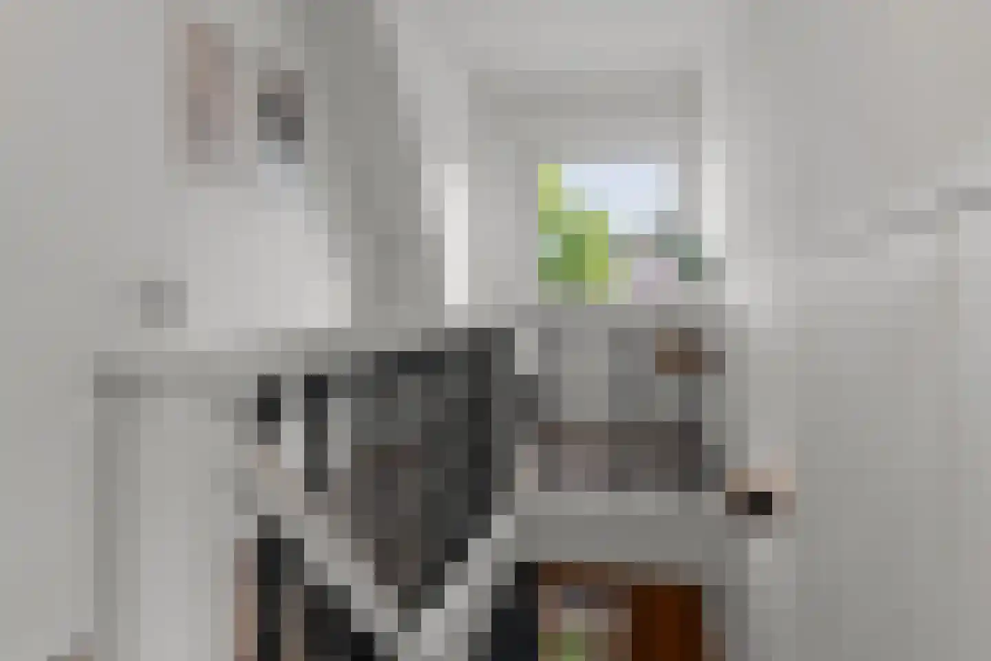 21 21 Dordrecht thumbnail 24