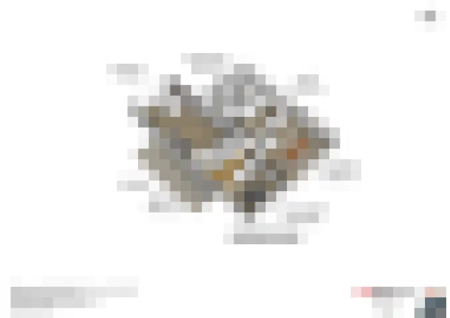 21 21 Dordrecht thumbnail 36